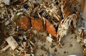 Crab Feast Tickets