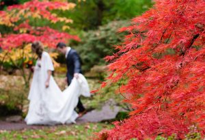 Wedding Season: Love in the Time of COVID